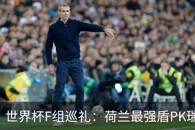 世界杯F组巡礼：荷兰最强盾PK瑞典犀利刀 日本短板明显